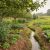 Layered permaculture garden with fruit trees, nitrogen-fixing shrubs, perennial vegetables, ground cover, and soil-rich mulch with water harvesting channels.