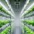 Leafy greens growing in vertically stacked hydroponic layers under LED lights inside a climate-controlled vertical farm.