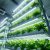 Stacked hydroponic towers growing leafy greens inside a clean urban vertical farm warehouse, lit by cool blue-white grow lights.